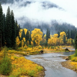 Пазл: Осеннее утро  