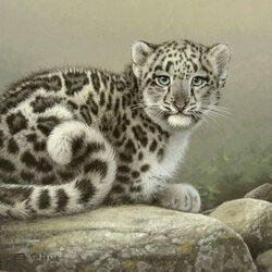 Пазл: Маленький леопард