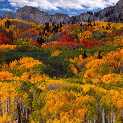 Пазл: Осень в горах        
