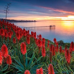 Пазл: Морские закаты