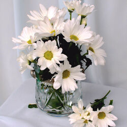 Пазл: Хризантемы