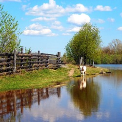 Пазл: Сельский сюжет
