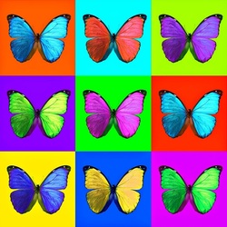 Пазл: Бабочки