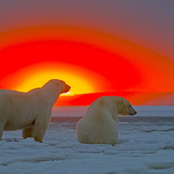 Пазл: Арктический закат 