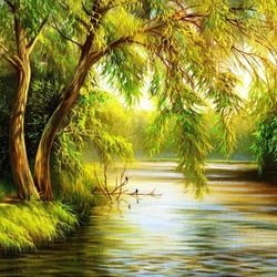 Пазл: Лесная речка