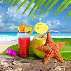 Пазл: Коктейли