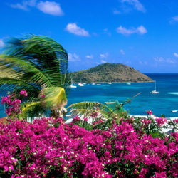 Пазл: Берег моря