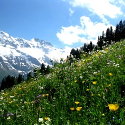 Пазл: Зима и лето