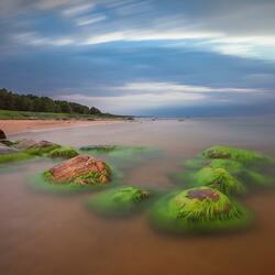 Пазл: Затишье   