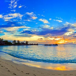 Пазл: Следы на песке