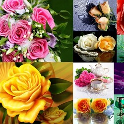 Пазл: Королева цветов