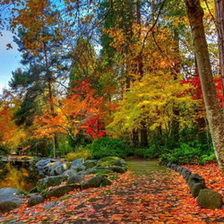 Пазл: Осень