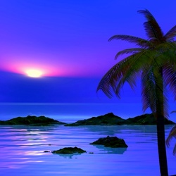 Пазл: Море, пальмы и закат