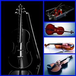 Пазл: Скрипки