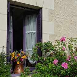 Пазл: Окошко в цветах