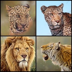 Пазл: Большие кошки  