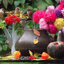 Пазл: Воробушки