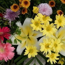 Пазл: Цветы