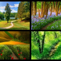 Пазл: Лесные тропы