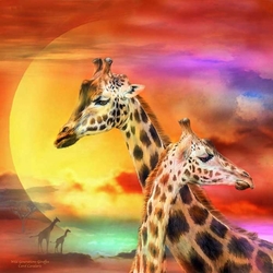 Пазл: Жирафы 