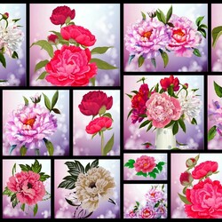 Пазл: Пионы