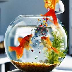 Пазл: Угощайтесь!