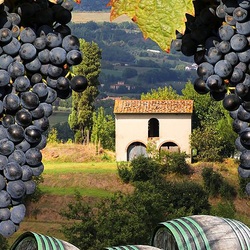 Пазл: Изабелла