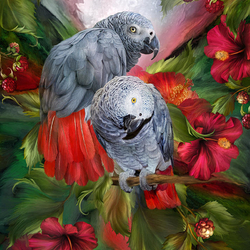 Пазл: Попугаи 