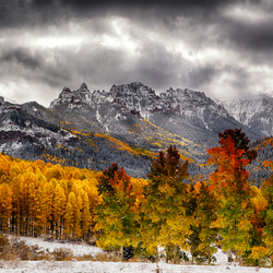 Пазл: Первый снег   