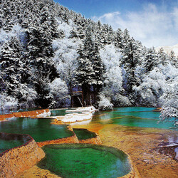 Пазл: Зимний лес 