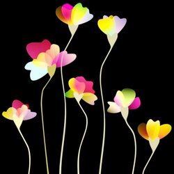 Пазл: Цветы