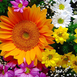 Пазл: Цветочный калейдоскоп