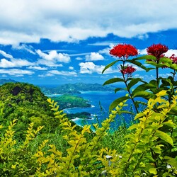 Пазл: Горный пейзаж