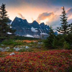 Пазл: В горах  