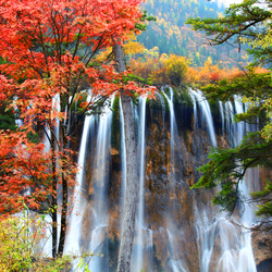 Пазл: Водопад 