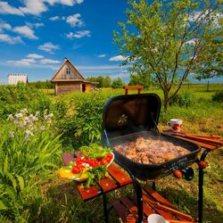 Пазл: На природе