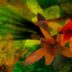 Пазл: Цветок