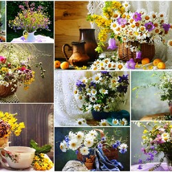 Пазл: Полевые цветы