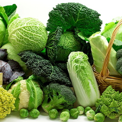 Пазл: Капуста