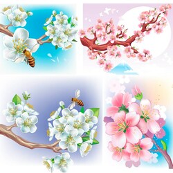 Пазл: Сакура