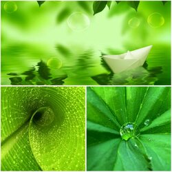 Пазл: По зеленой волне