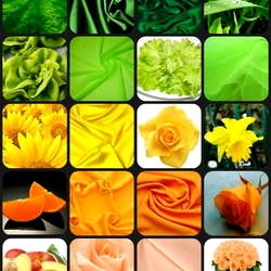 Пазл: От зеленого к персиковому