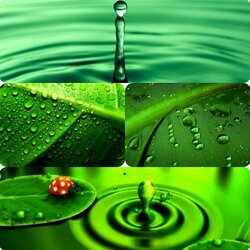 Пазл: Капельки