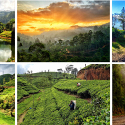 Пазл: Шри Ланка    