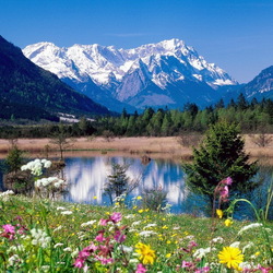 Пазл: Горное озеро