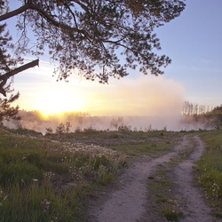 Пазл: Рассветная дорога