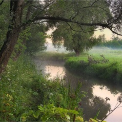 Пазл: Тихое утро