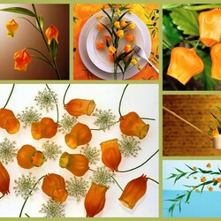 Пазл: Золотые ландыши