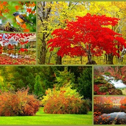 Пазл: Осень