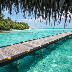 Пазл: Дорожка к счастью